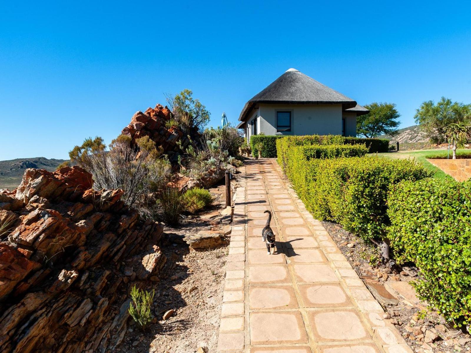 Rooilande Guest Farm Apartment Laingsburg Exterior photo